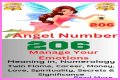 
ANGEL NUMBER 206
